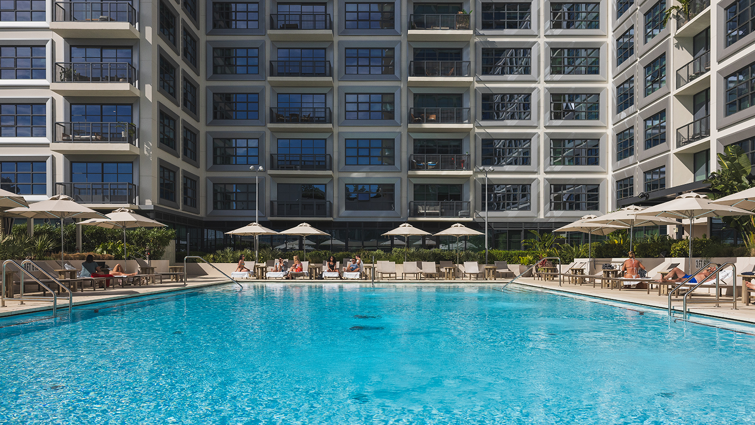 Roost Tampa at Asher pool